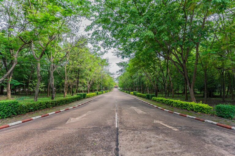 Strategi Pengembangan dan Peningkatan Kualitas Universitas Veteran